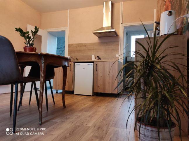 L'étoile et le Merveilleux 2 appartements SPA Dijon Exterior foto